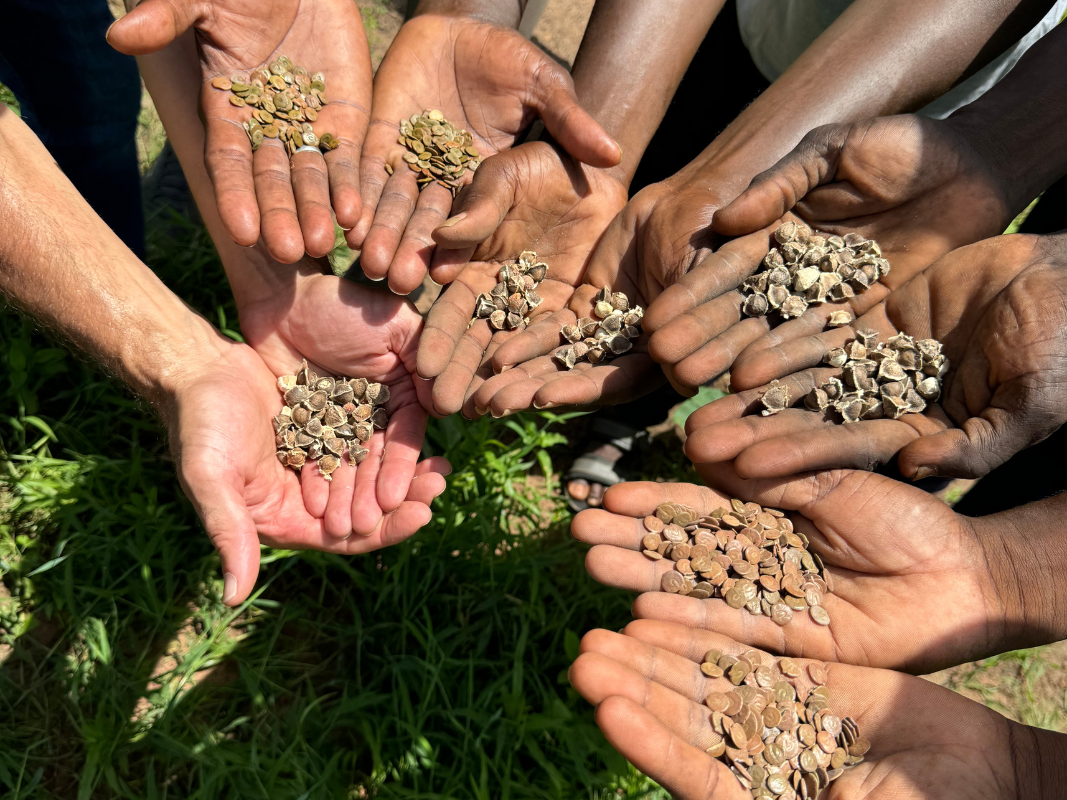 How Sustainability Drives Business Growth: The Cool Path to Success