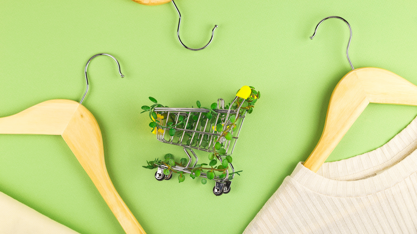How to Make Your E-Commerce Brand More Sustainable (The We Cool Way)