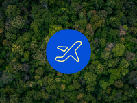 Offset Domestic Flights