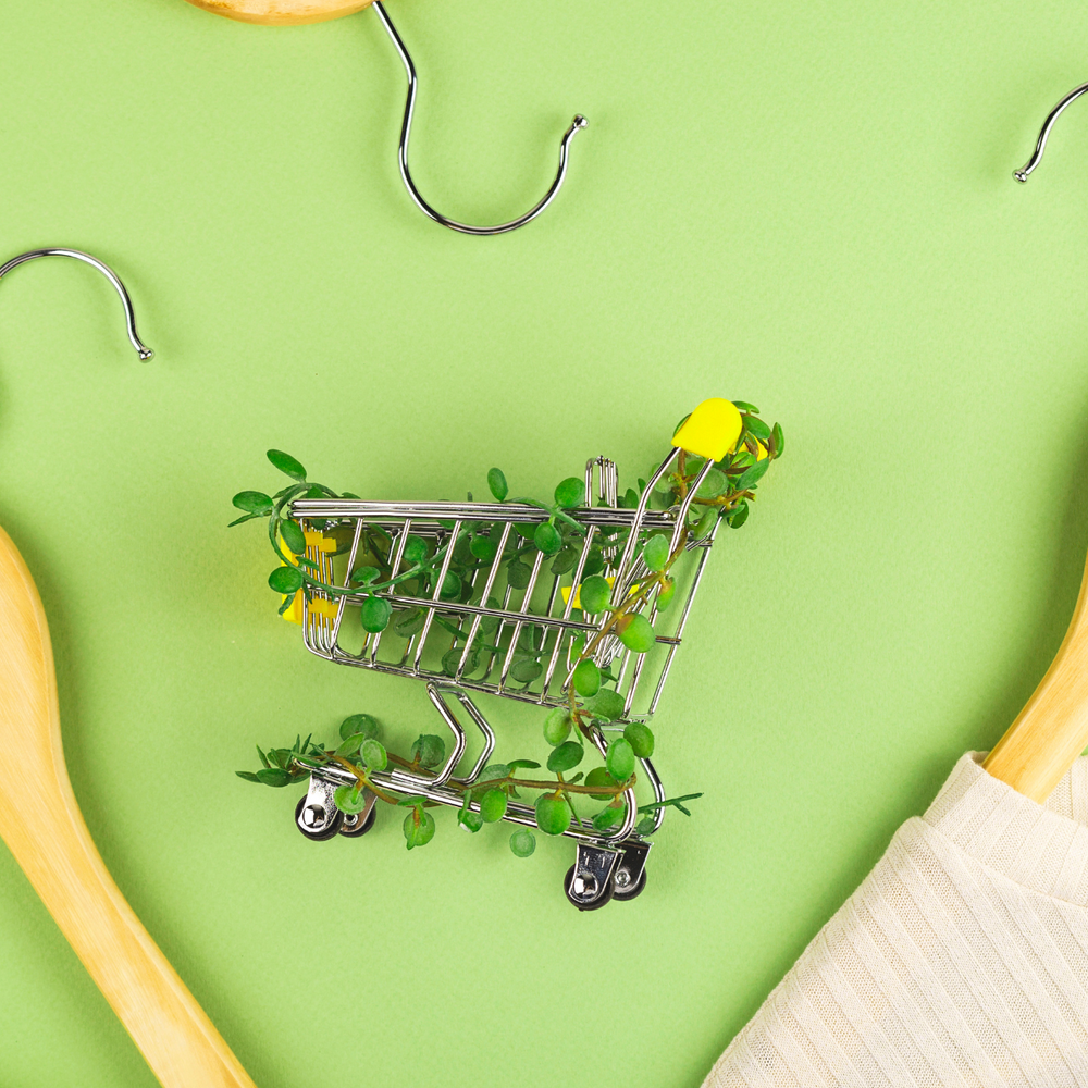 How to Make Your E-Commerce Brand More Sustainable (The We Cool Way)
