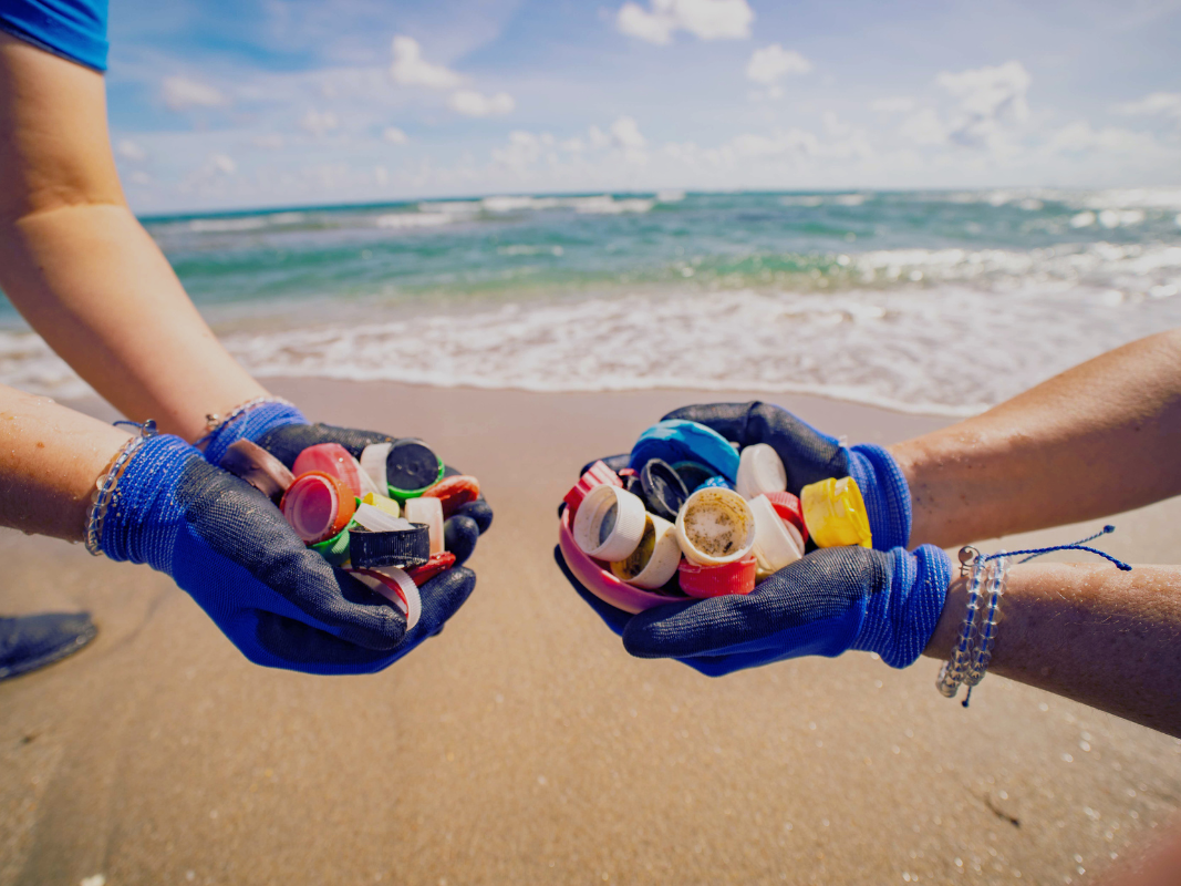 Ocean Plastic + Rubbish Removal – We Cool